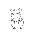 チンチラの可愛い1日（ホワイト）（個別スタンプ：3）