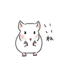 チンチラの可愛い1日（ホワイト）（個別スタンプ：16）