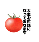 シンプルなトマトのデザインの敬語スタンプ（個別スタンプ：4）