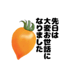 シンプルなトマトのデザインの敬語スタンプ（個別スタンプ：5）