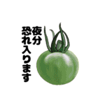 シンプルなトマトのデザインの敬語スタンプ（個別スタンプ：8）