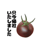 シンプルなトマトのデザインの敬語スタンプ（個別スタンプ：11）
