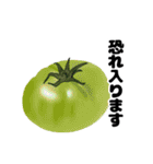 シンプルなトマトのデザインの敬語スタンプ（個別スタンプ：26）