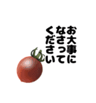 シンプルなトマトのデザインの敬語スタンプ（個別スタンプ：39）