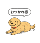 ゴールデンレトリバー(ゴールド)（個別スタンプ：2）
