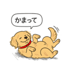 ゴールデンレトリバー(ゴールド)（個別スタンプ：3）