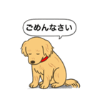 ゴールデンレトリバー(ゴールド)（個別スタンプ：4）