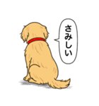 ゴールデンレトリバー(ゴールド)（個別スタンプ：6）
