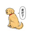 ゴールデンレトリバー(ゴールド)（個別スタンプ：7）