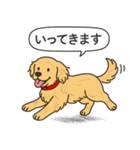 ゴールデンレトリバー(ゴールド)（個別スタンプ：8）