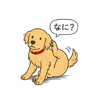 ゴールデンレトリバー(ゴールド)（個別スタンプ：9）