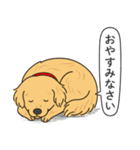 ゴールデンレトリバー(ゴールド)（個別スタンプ：10）