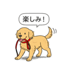 ゴールデンレトリバー(ゴールド)（個別スタンプ：14）