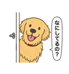 ゴールデンレトリバー(ゴールド)（個別スタンプ：19）
