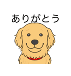 ゴールデンレトリバー(ゴールド)（個別スタンプ：21）