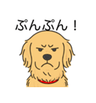 ゴールデンレトリバー(ゴールド)（個別スタンプ：23）