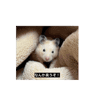 大きくなった玉乱（個別スタンプ：14）