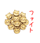 バラエティニャップス、パリッと一言（個別スタンプ：2）