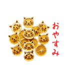 バラエティニャップス、パリッと一言（個別スタンプ：16）