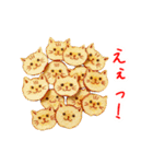 バラエティニャップス、パリッと一言（個別スタンプ：20）