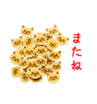 バラエティニャップス、パリッと一言（個別スタンプ：22）