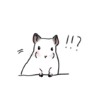 チンチラの可愛い1日（耳黒ホワイト）（個別スタンプ：7）