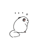 チンチラの可愛い1日（耳黒ホワイト）（個別スタンプ：11）