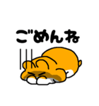 謝罪王なアニマルズ[敬語/タメ口2パターン]（個別スタンプ：18）