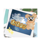くまスケスタンプʕ•ᴥ•ʔ⭐︎（個別スタンプ：1）