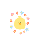 ぴぴぴよこスタンプ（個別スタンプ：31）
