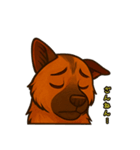 かわカッコいいふくまる君。（個別スタンプ：11）