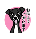 【ブラック2】1年中使える♡パピーイタグレ（個別スタンプ：1）