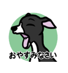 【ブラック2】1年中使える♡パピーイタグレ（個別スタンプ：4）