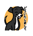 【ブラック2】1年中使える♡パピーイタグレ（個別スタンプ：6）