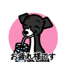 【ブラック2】1年中使える♡パピーイタグレ（個別スタンプ：8）