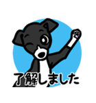 【ブラック2】1年中使える♡パピーイタグレ（個別スタンプ：10）