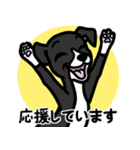 【ブラック2】1年中使える♡パピーイタグレ（個別スタンプ：12）