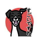 【ブラック2】1年中使える♡パピーイタグレ（個別スタンプ：14）
