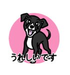 【ブラック2】1年中使える♡パピーイタグレ（個別スタンプ：15）