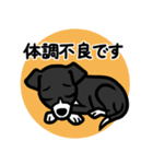 【ブラック2】1年中使える♡パピーイタグレ（個別スタンプ：20）