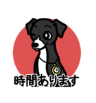 【ブラック2】1年中使える♡パピーイタグレ（個別スタンプ：21）