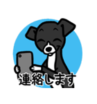 【ブラック2】1年中使える♡パピーイタグレ（個別スタンプ：24）