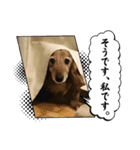 かふぇ太郎（個別スタンプ：3）