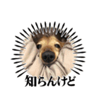 かふぇ太郎（個別スタンプ：4）