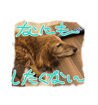 かふぇ太郎（個別スタンプ：5）