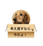 かふぇ太郎（個別スタンプ：6）