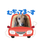 かふぇ太郎（個別スタンプ：8）