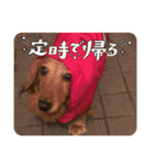 かふぇ太郎（個別スタンプ：10）