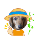 かふぇ太郎（個別スタンプ：11）