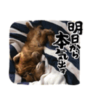 かふぇ太郎（個別スタンプ：14）